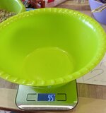 IMG_20260810_160826.jpg