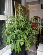 IMG_3359.jpeg