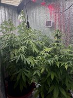IMG_3363.jpeg