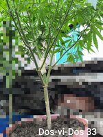 IMG_20260818_200707.jpg