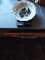312.jpg