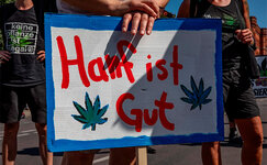 hanf.jpg hanf.jpg