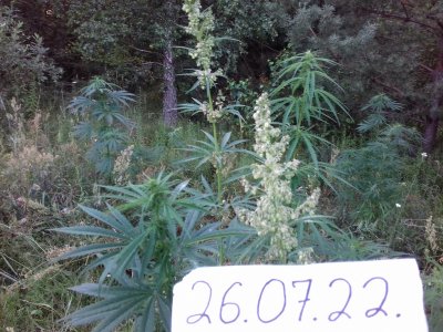 20160605_061626.jpg