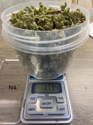 31.07.22 8.jpeg