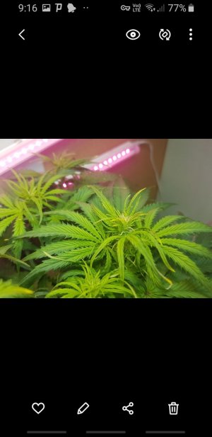 Screenshot_20221023-091621_Gallery.jpg