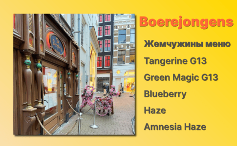Кофешоп Амстердам Boerejongens