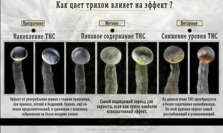 6446357A-4DDE-465B-9937-5F1D71C55ACA.jpeg