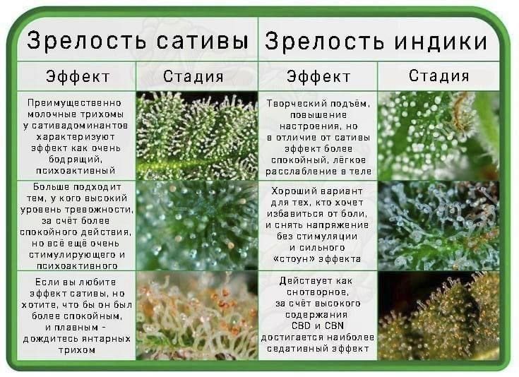 1FDE9AE0-5997-4496-B9F0-D1C4B52FF80B.jpeg