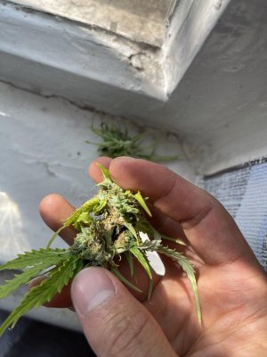 IMG_5656.jpeg