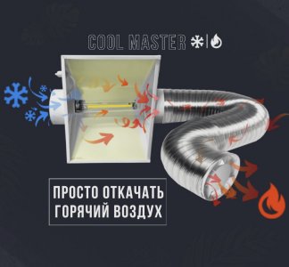 IMG_6579.jpeg
