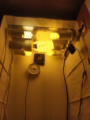 IMG_20230705_223914.jpg