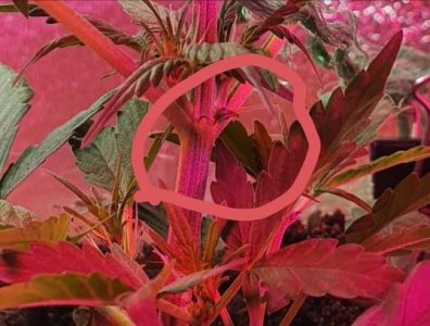 upload_2022_02_08_06_02_19_372.jpg